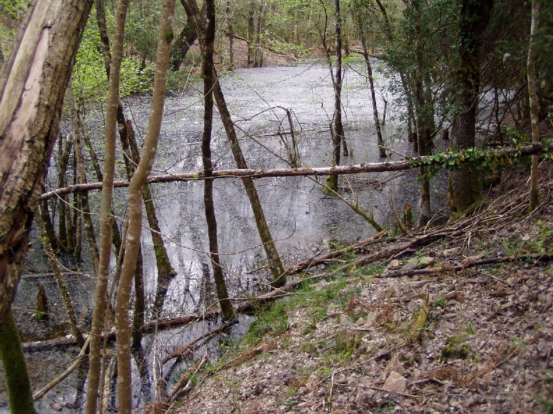 Valle del Farma e Stagno della Troscia: luoghi meravigliosi!